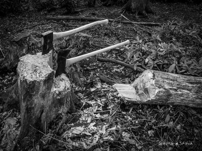 two axes in stump of felled Oak Tree. Monochrome Landscape. © P. Maton 2014 whittleandstitch.net