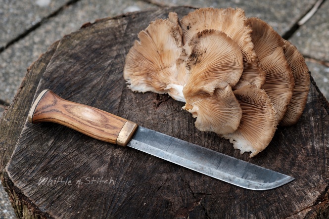 Ash handled Lauri Leuku knife on Elm round next to Oyster fungus handmade crafts foraging bushcraft photograph ©P. Maton whittleandstitch.net